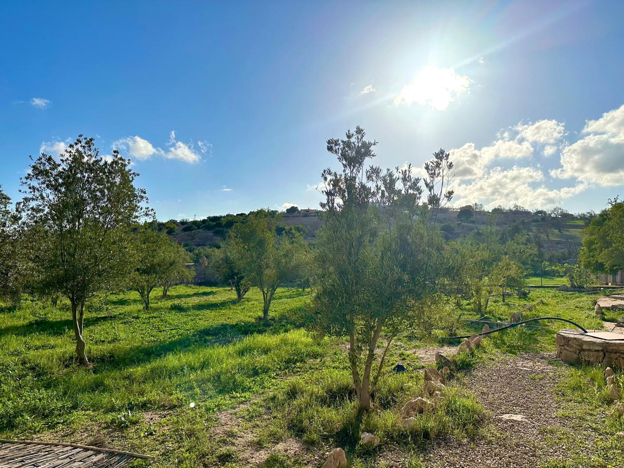 Quiet Oasis Luxury Stone Villa With Panoramic Views Near Essaouira Exteriör bild